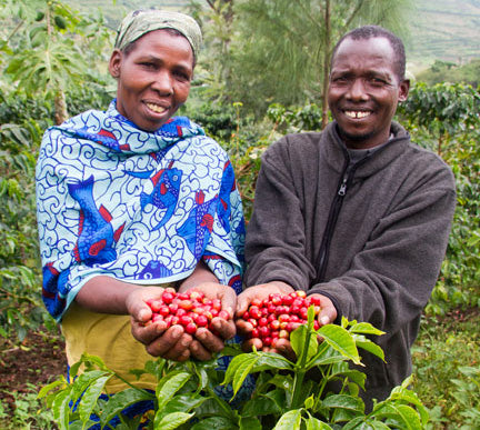 3 Billion Cups of Coffee a Day, and Pledging to Help Coffee Farmers